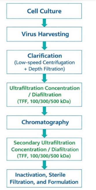 news-332-653 news-332-653